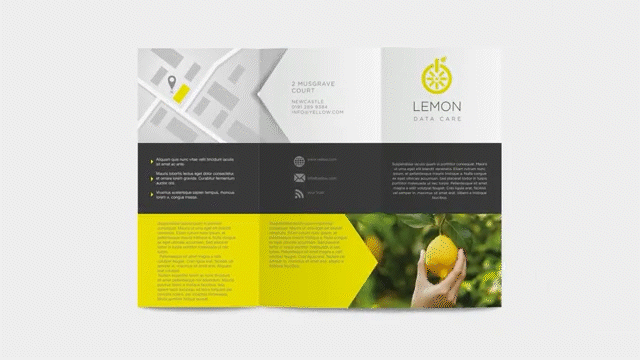 DL 6pp Folded Leaflet 25k
